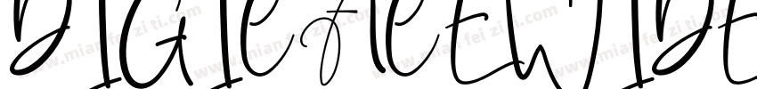 DIGICACEWIDE REGULAR字体转换